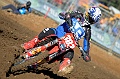 _ROB6797 (Copy)